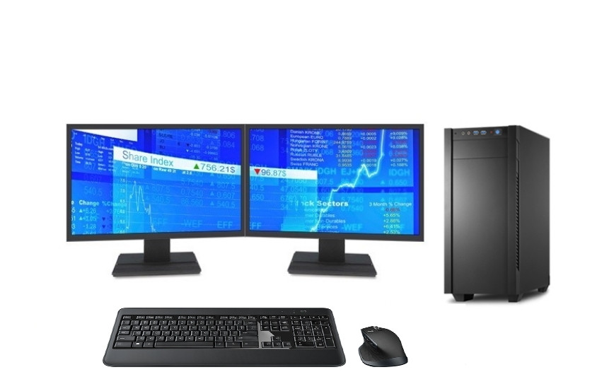 8902|DataStation basic, 2x 24" Business Monitore, Tastatur-Maus-Set - Pro Line